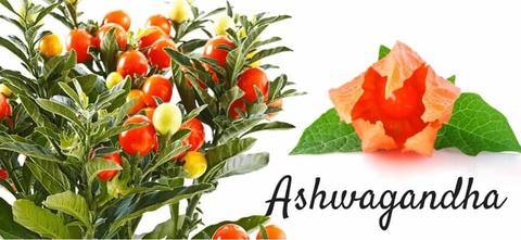 blog-image