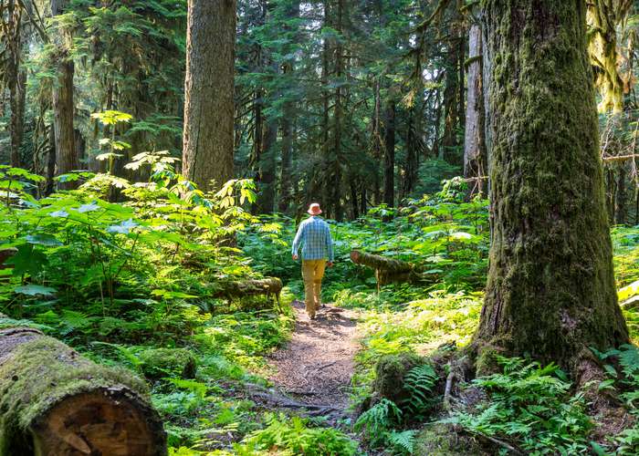 Avoid Lyme infected areas: woman doing hiking in the woods