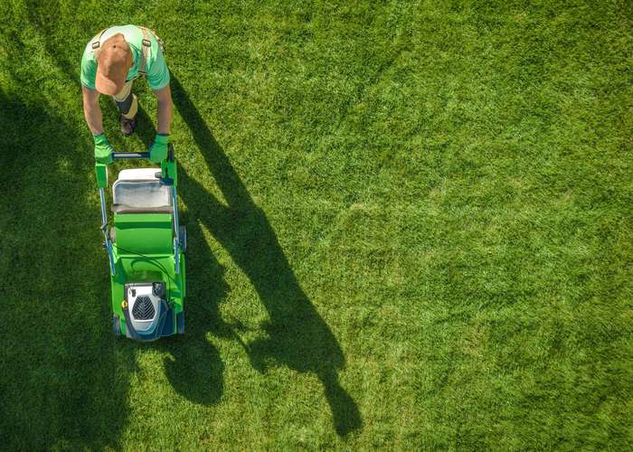 Create a tick free zone to avoid Lyme disease: man mowing the garden