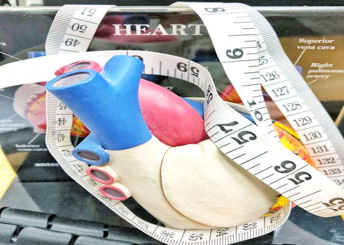 Maintain a healthy weight to prevent heart disease: scale and a tape measure, wrapped around a heart dummy.