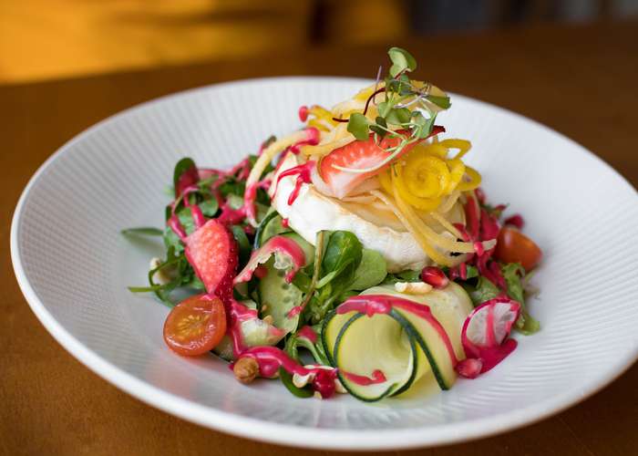 Personalize food plan for cancer: nice food salad dish.