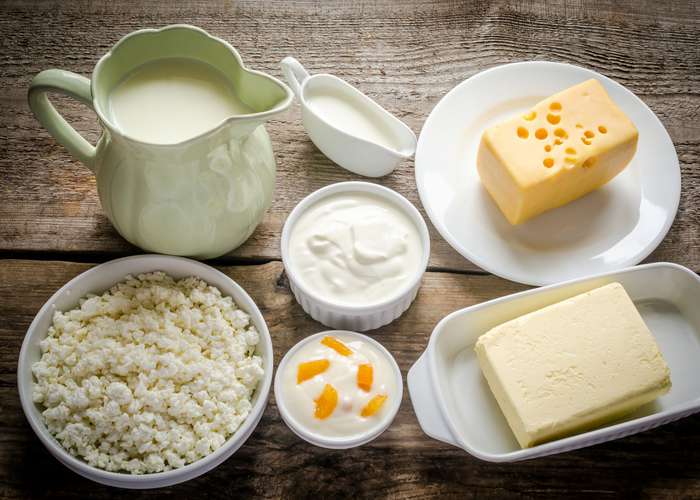 Avoid dairy product for Lyme disease: selection of dairy products including cheese, sour cream, milk, and butter.
