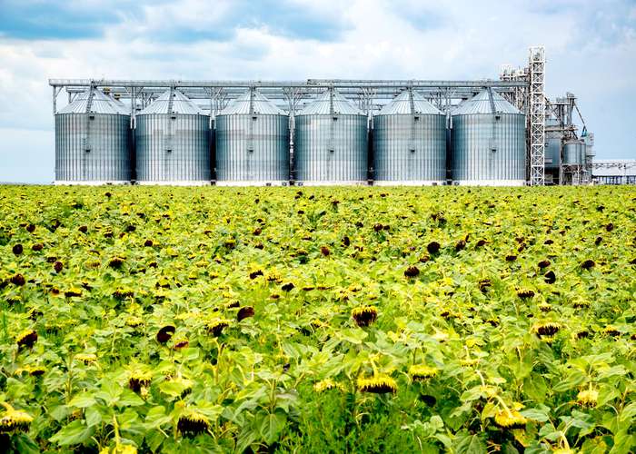 Avoid industrial seed oil for Lyme disease: industrial factory for seed oil.