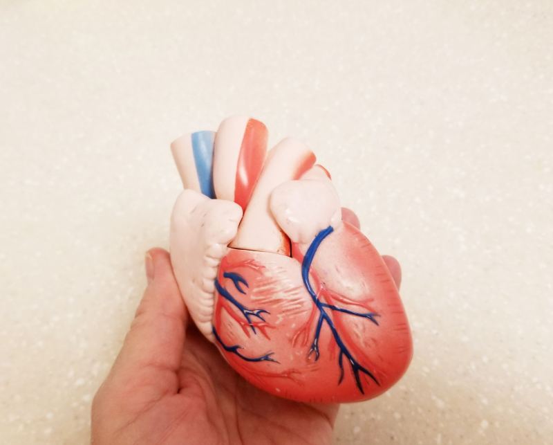Man holding his heart with pain symptoms showing. He suffers from heart disease or having a heart attack or heart burn.