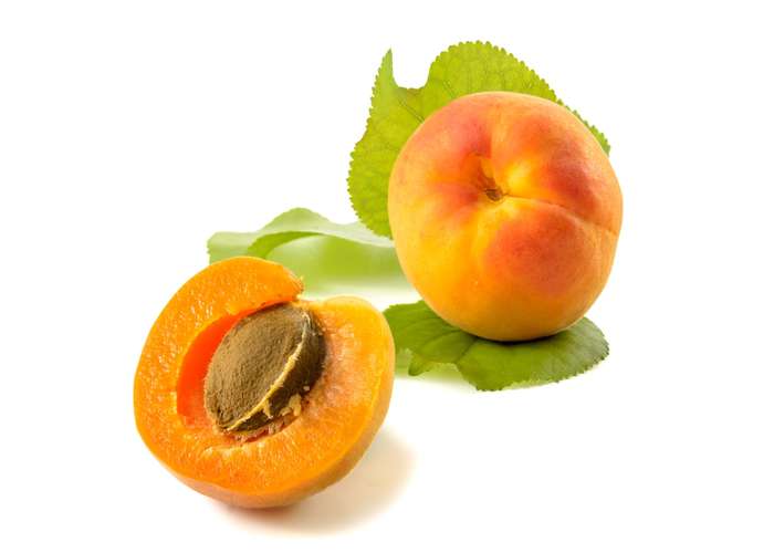 diet